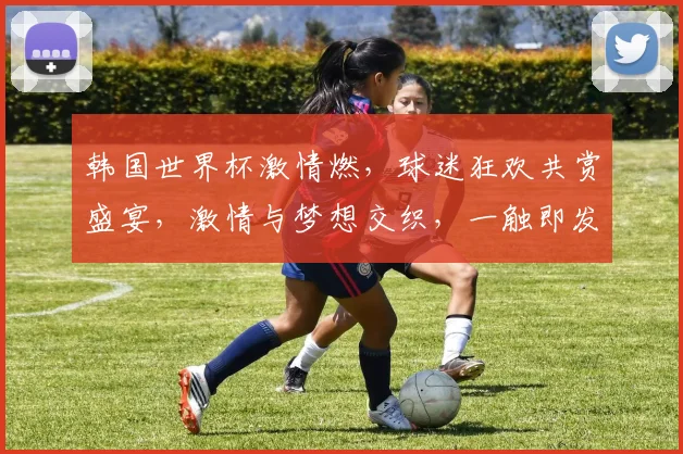韩国世界杯激情燃，球迷狂欢共赏盛宴，激情与梦想交织，一触即发