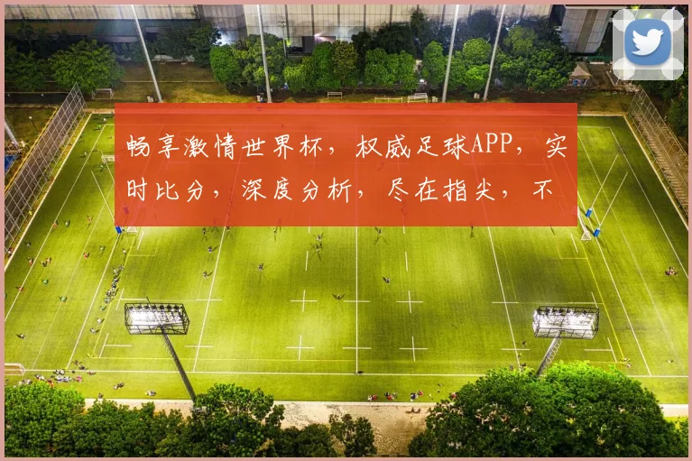 畅享激情世界杯，权威足球APP，实时比分，深度分析，尽在指尖，不容错过，精彩不停歇